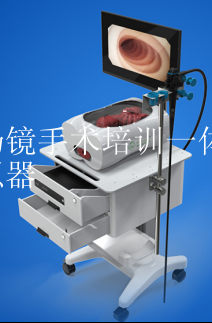 結腸鏡手術培訓一體化模擬器