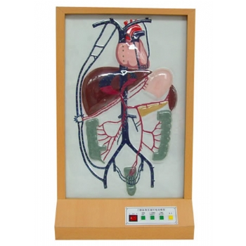 門靜脈側(cè)支循環(huán)電動(dòng)模型