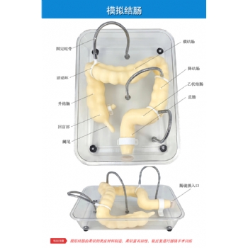 腸鏡訓(xùn)練模型